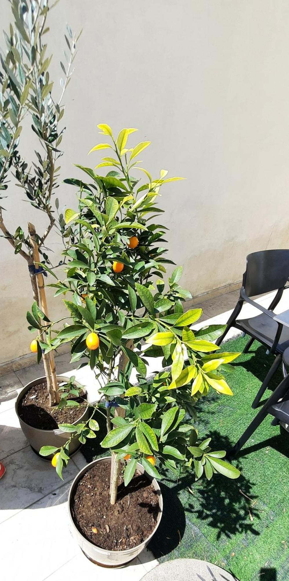 Appartement Hidden Gem, Modern 2bedroom, Amazing Terrace-free Parking-your Away From
