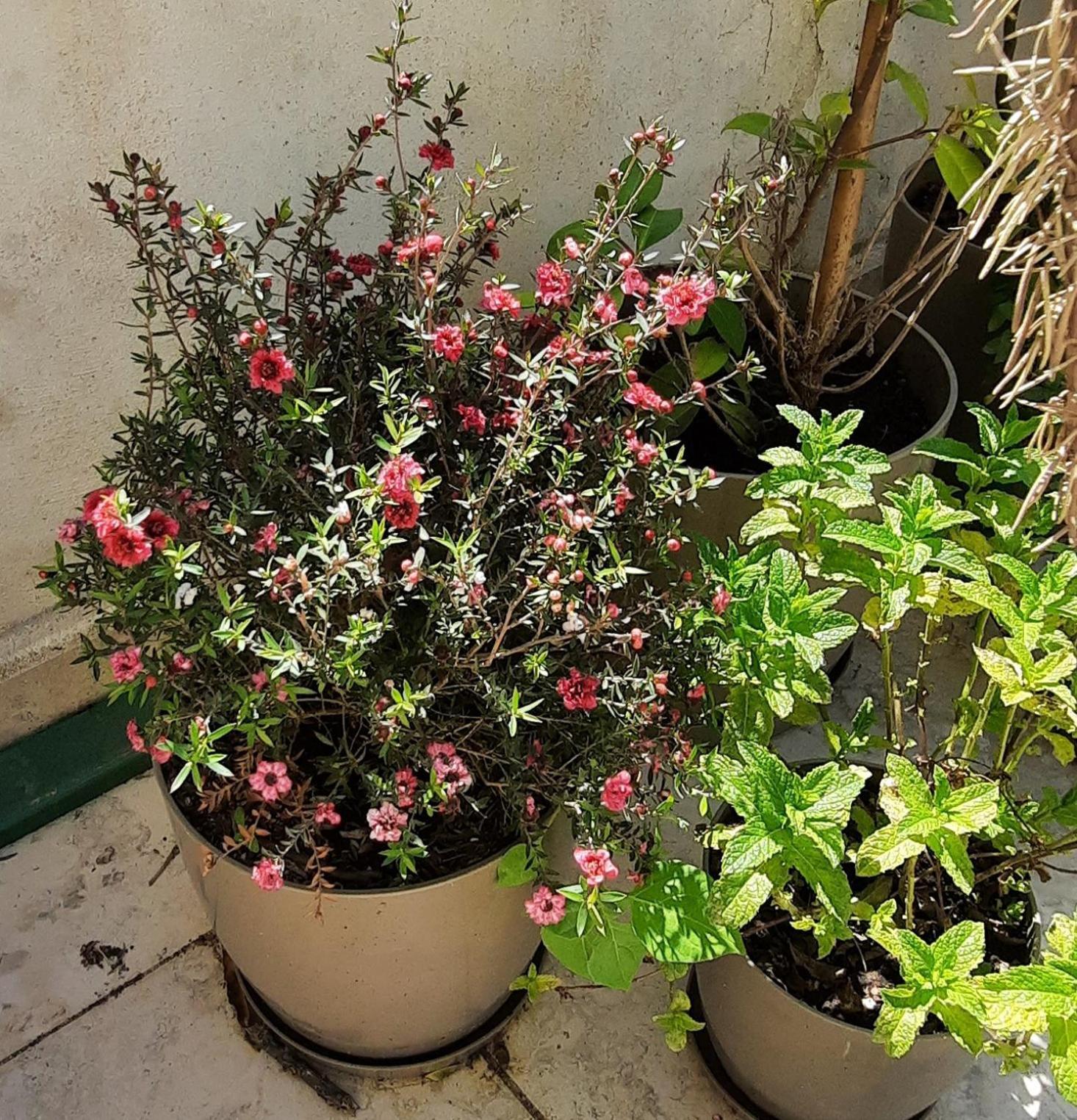 Hidden Gem, Modern 2bedroom, Amazing Terrace-free Parking-your Away From Tirana