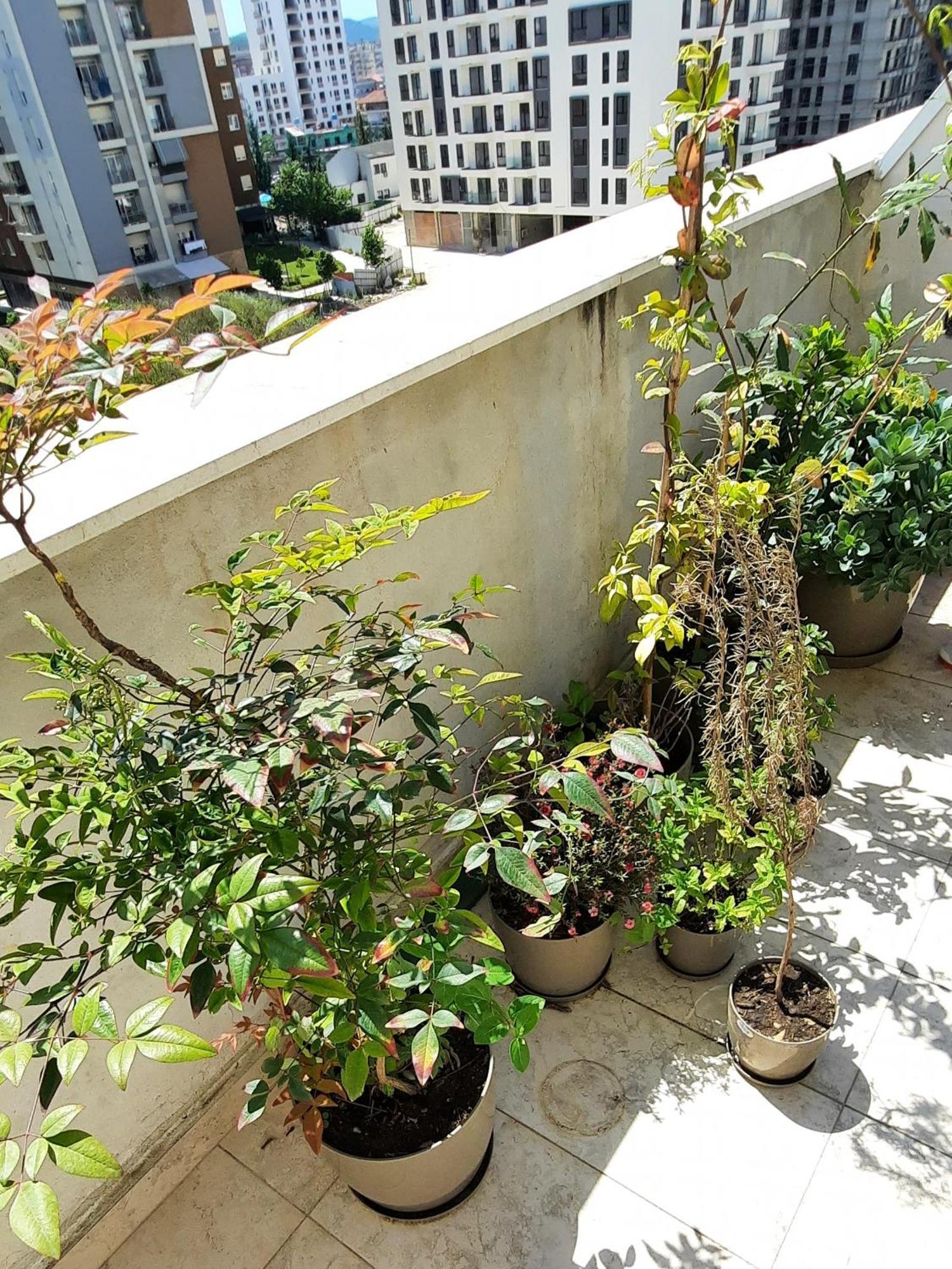 Hidden Gem, Modern 2bedroom, Amazing Terrace-free Parking-your Away From Appartamento
